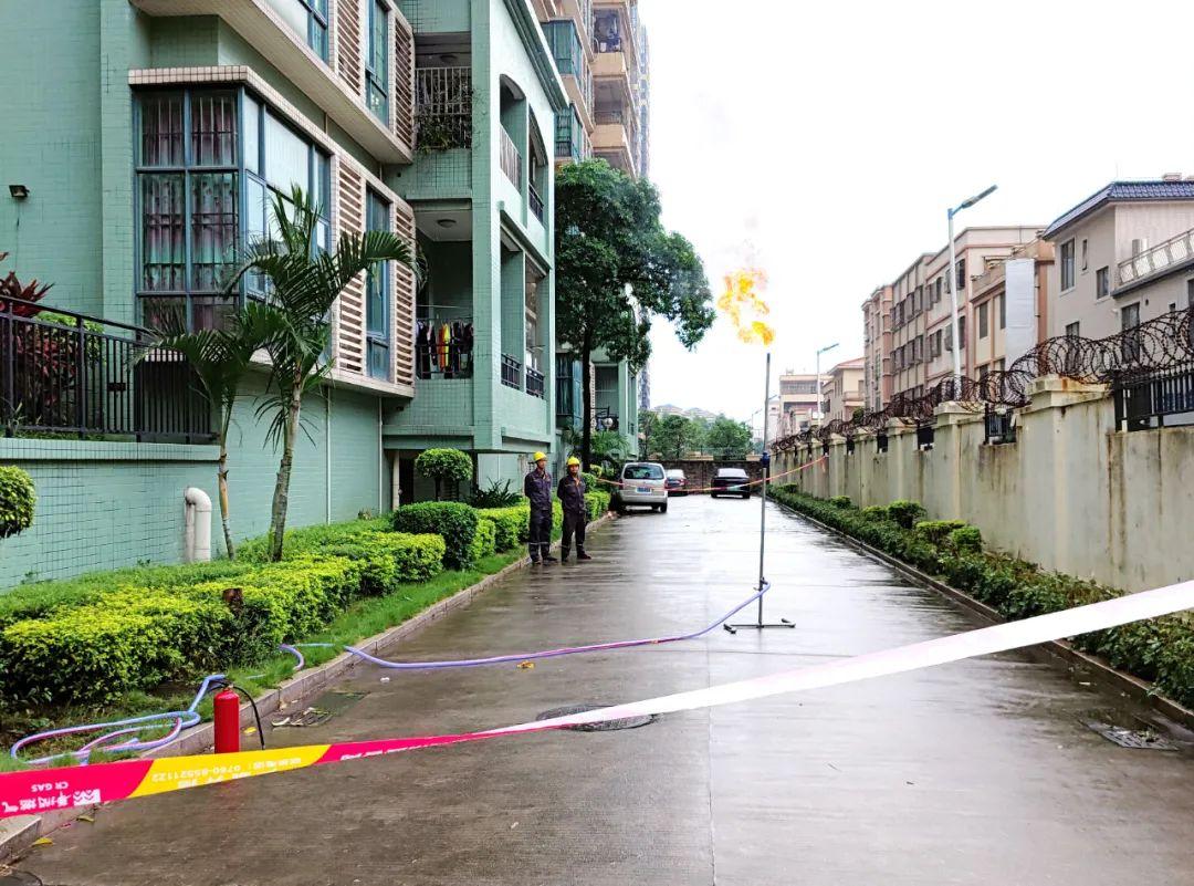 中山東鳳佛奧最新動態(tài)，自然美景的探索之旅，尋找內心平和與寧靜
