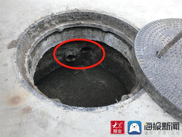 福建臺(tái)幫幫團(tuán)最新一期揭秘，小巷深處的隱藏美食瑰寶
