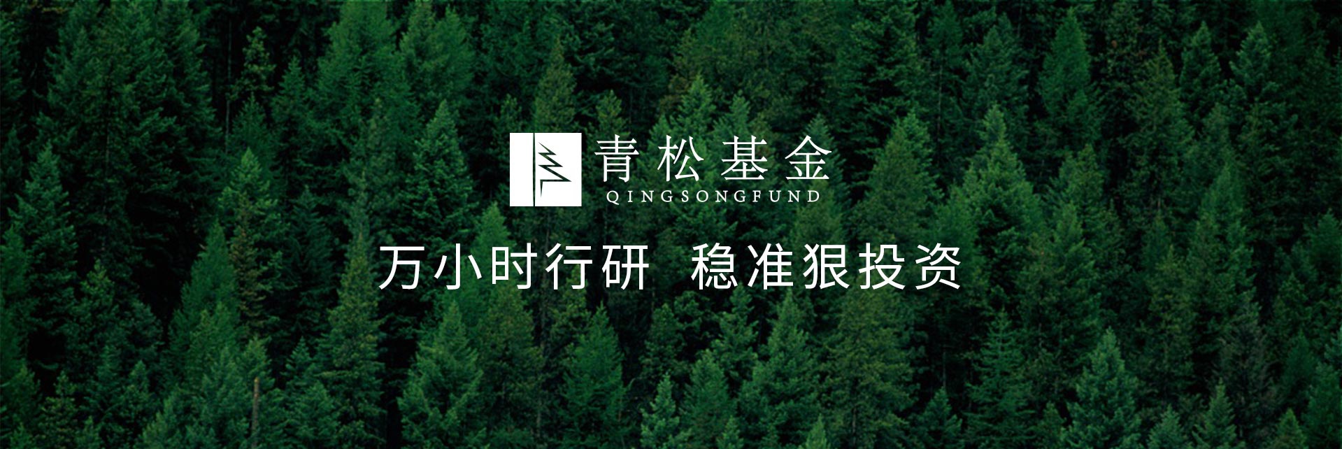 長青樹眾籌最新動態(tài)，背景、發(fā)展與時代地位探索