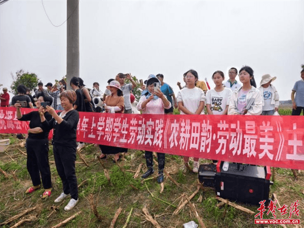 桃源木塘垸鄉(xiāng)新動(dòng)態(tài)，趣事連連，真摯友情綻放鄉(xiāng)間