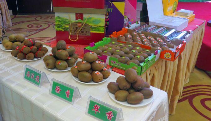 嘉興對(duì)接上海最新進(jìn)展，城市崛起中的自信與成就感展現(xiàn)新面貌