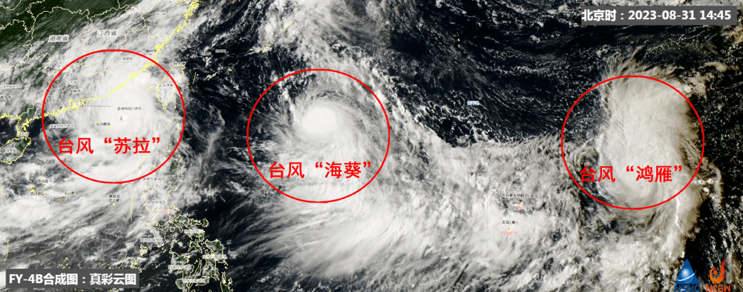 廣東臺風(fēng)最新消息與小巷深處的獨特風(fēng)味風(fēng)情