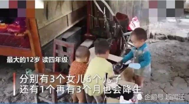 廣西最新預(yù)情，自然美景探索之旅，喚醒內(nèi)心平靜之旅