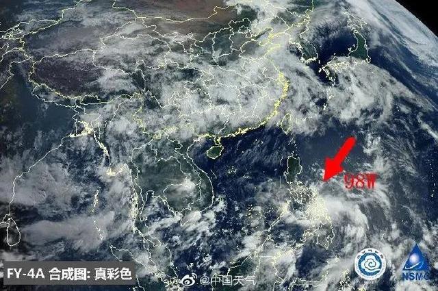 臺(tái)風(fēng)鸚鵡的最新動(dòng)態(tài)，逆風(fēng)翱翔的力量與學(xué)習(xí)魅力
