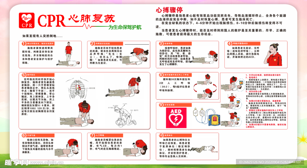 心肺最新進(jìn)展及關(guān)注要點概述