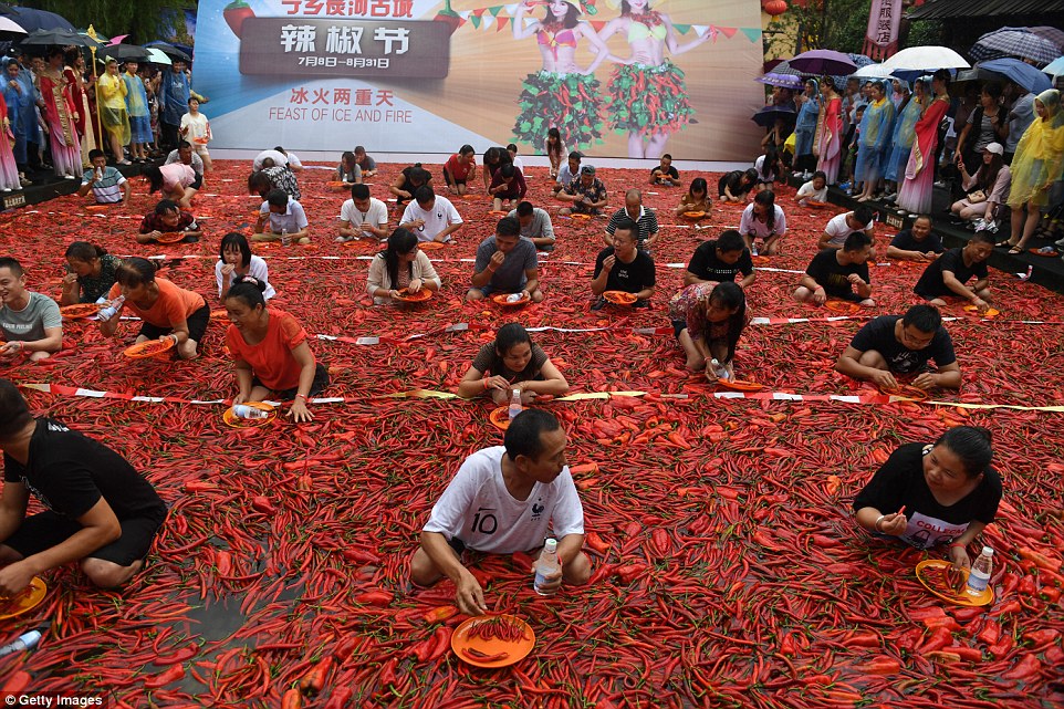 吃辣椒比賽完全攻略，從入門(mén)到進(jìn)階的指南