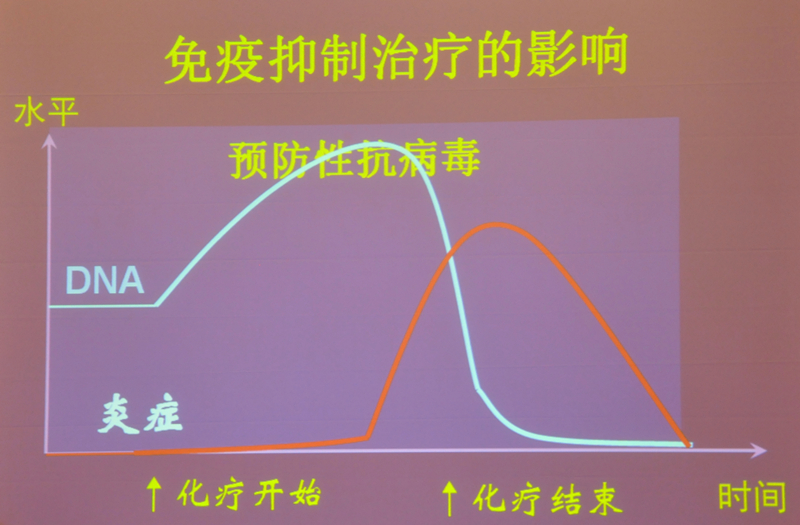 肝炎新進展揭秘，小巷深處的秘密小店探索