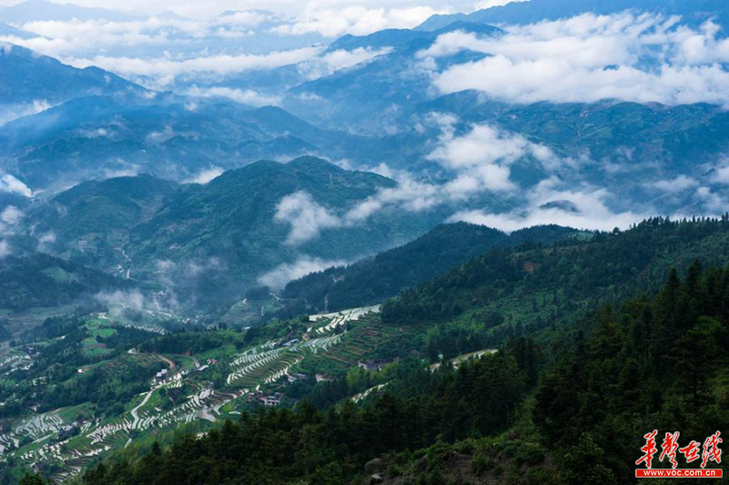 雪峰山資訊，一段溫馨有趣的探索之旅