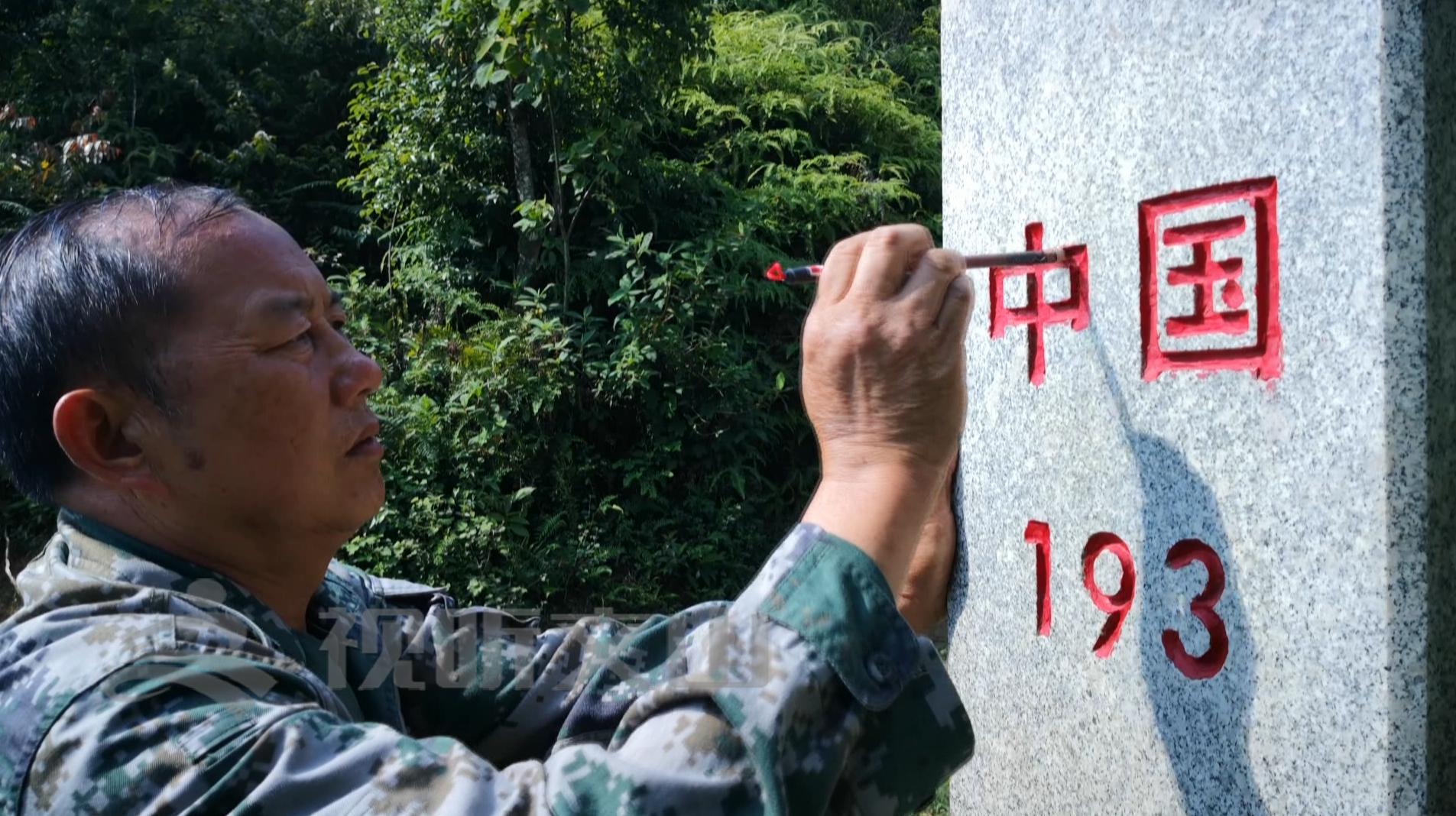 文山黃牛打架比賽，傳統(tǒng)與爭議的碰撞