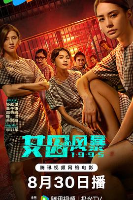 淘君爹最新影片，小巷深處的電影寶藏探索