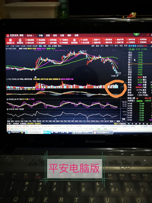 股票電腦版，開啟溫馨的股市之旅