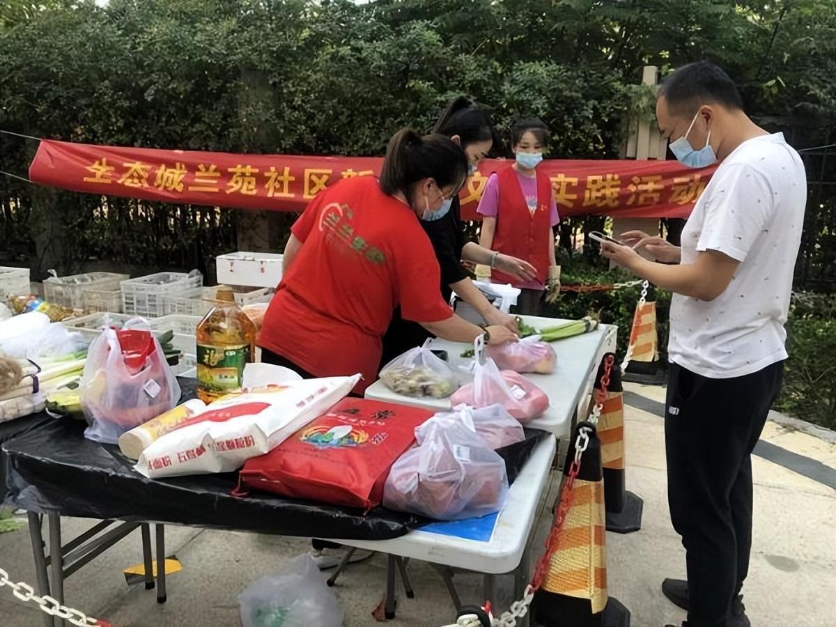 保利華潤紫云價(jià)格深度解析，探尋背后的故事與地位影響