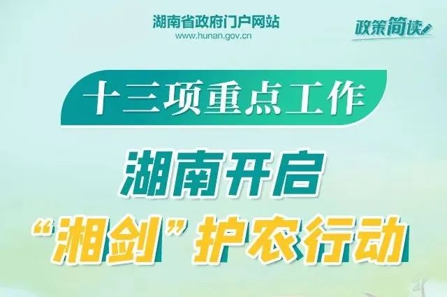 鋁業(yè)巨頭山鋁南定舉辦最新職位招聘盛宴，人才招募火熱進(jìn)行中！