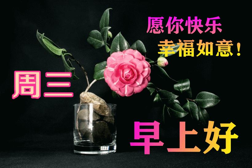 最新早晨問(wèn)候動(dòng)態(tài)表情包，溫馨問(wèn)候，從表情開(kāi)始！