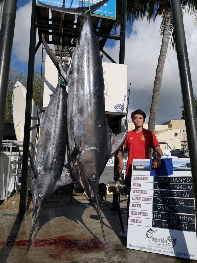 海洋競技盛宴，釣馬林魚比賽盛況