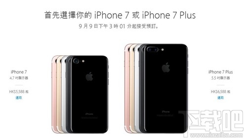 香港蘋果最新價(jià)格揭秘，小巷深處的驚喜發(fā)現(xiàn)