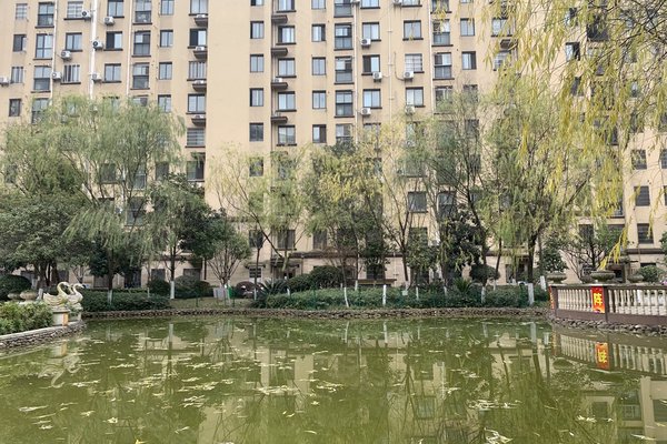 中豪明珠城最新價(jià)格，時(shí)代印記與城市的脈動(dòng)