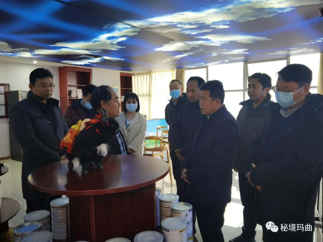 高原之寶上市，學(xué)習(xí)、蛻變與自信的輝煌之旅