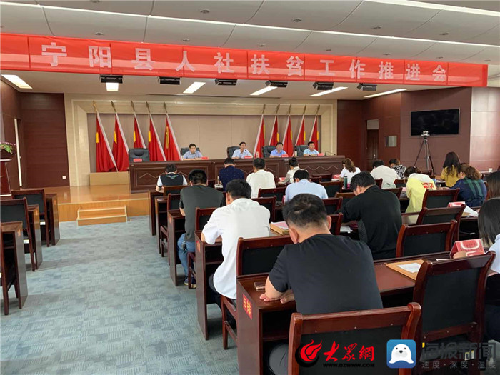 寧陽網最新資訊，城市中的溫情日常