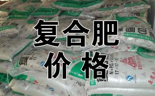 今日復(fù)合肥價格行情解析及市場趨勢探討