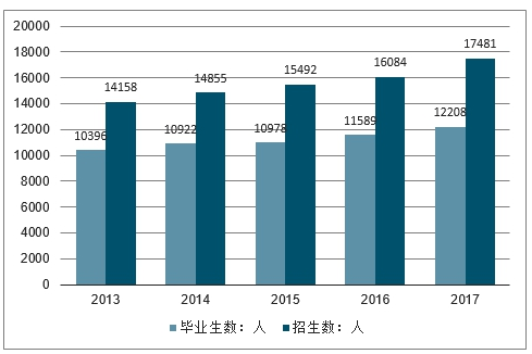 市場(chǎng)趨勢(shì)深度解讀及策略建議探討