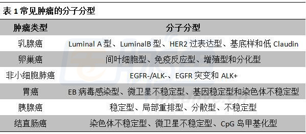 最新乳腺分類科技產(chǎn)品介紹，引領(lǐng)乳腺健康新篇章