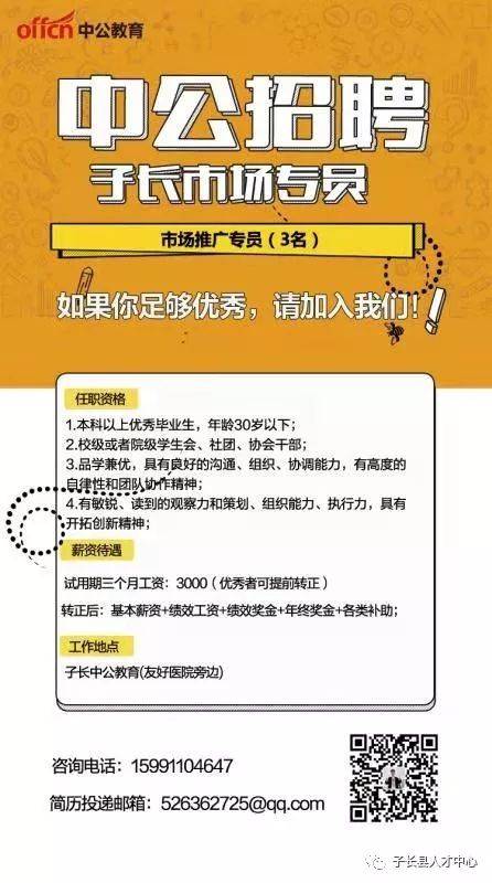 中公最新職位招聘深度解析與觀點闡述