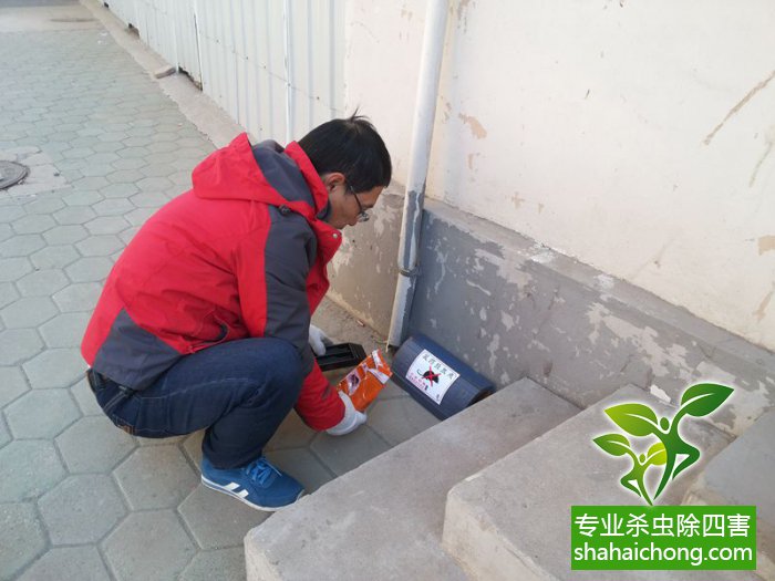 最新滅鼠技術(shù)的觀點論述與立場闡述，創(chuàng)新方法的探索與挑戰(zhàn)