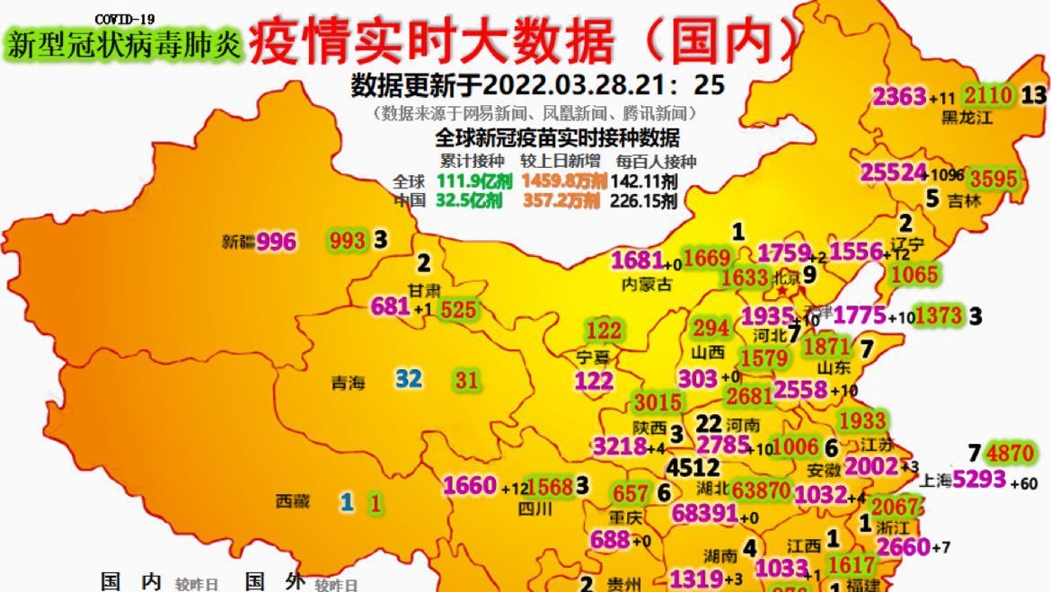 最新疫情動(dòng)態(tài)詳解，初學(xué)者與進(jìn)階用戶的步驟指南