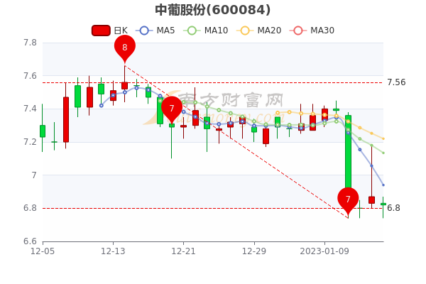 中葡股份股票行情深度分析與展望，未來走勢展望及行業(yè)前景預(yù)測。