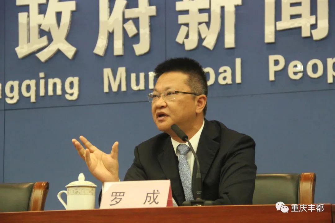 豐都新聞快訊，日常溫情與陪伴的瞬間