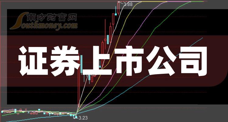 科技巨頭引領(lǐng)下的全新視界，股票上市公司概覽