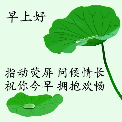 最新疫情動態(tài)下的自然探索之旅，追尋內(nèi)心的平和與寧靜