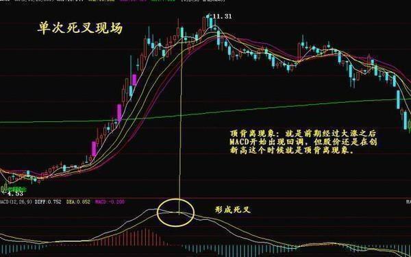 科技前沿與股票新紀(jì)元，最新高科技產(chǎn)品體驗(yàn)介紹與股票解析