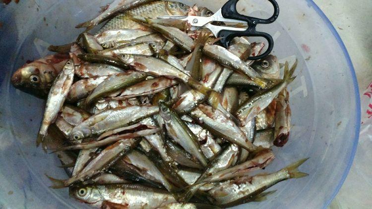 昆明最新野釣地點(diǎn)探索，重拾生活激情與自信的自然之旅