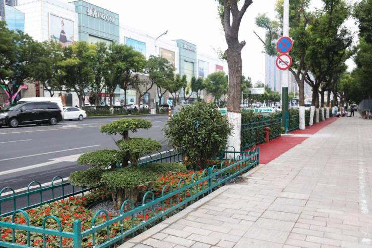 濰坊市奎文區(qū)改造工程，自然美景的探索之旅