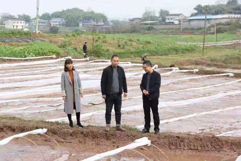 燈飾燈具 第135頁