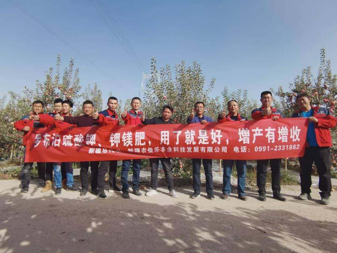 新疆國投羅鉀最新動態(tài)，全面指南與最新發(fā)展概述