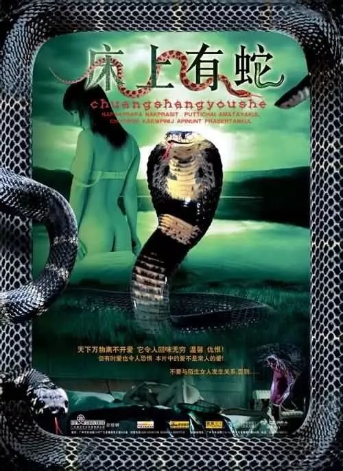 最新蛇片，蛻變的旅程，召喚自信與成就感的冒險(xiǎn)之旅