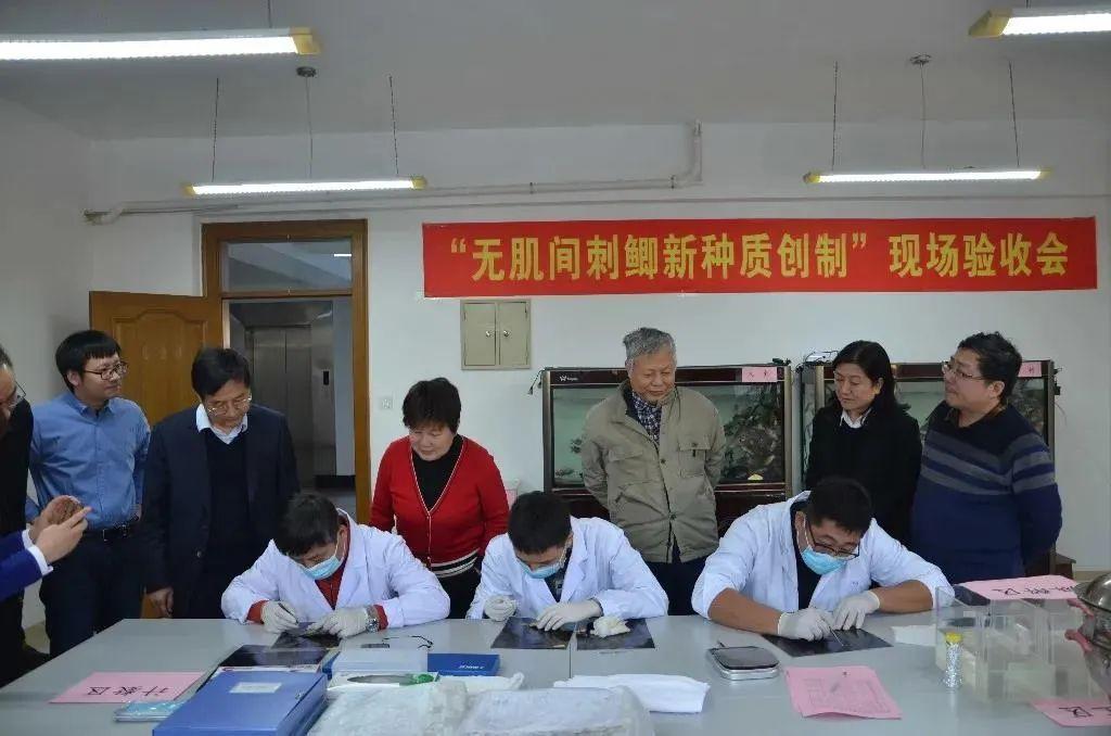 侯馬蒲劇團(tuán)演員列表及角色介紹