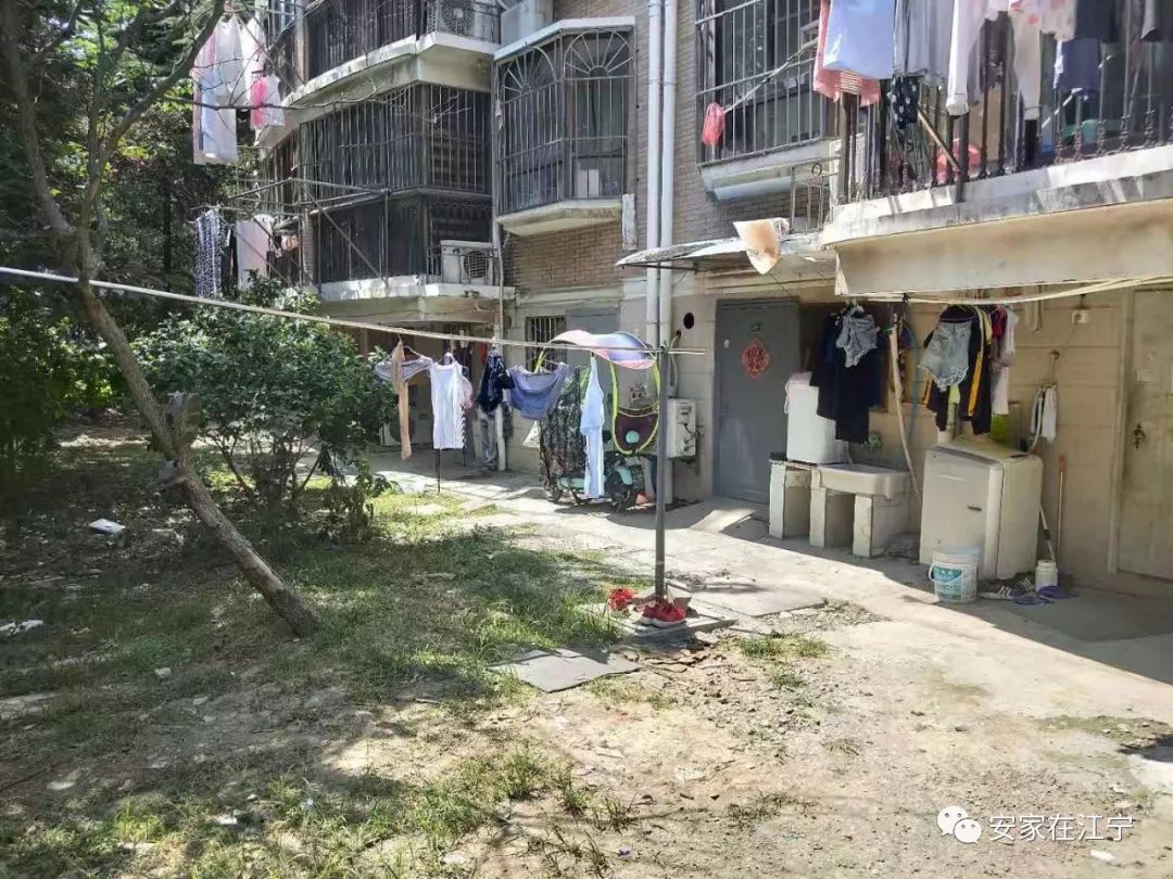最新大雜亂時(shí)代，混沌與秩序的重建之路
