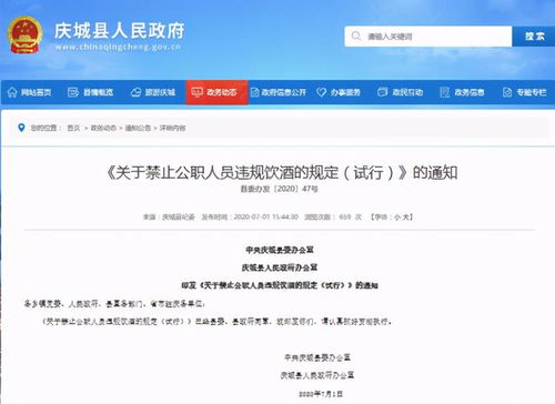 酒駕處罰2024最新標(biāo)準(zhǔn)詳解，步驟指南與更新概覽