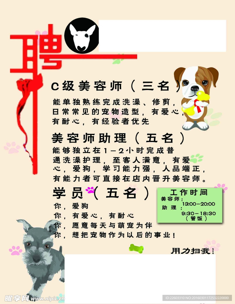 寵物店招聘最新動(dòng)態(tài)，共探自然之美，尋求內(nèi)心寧靜