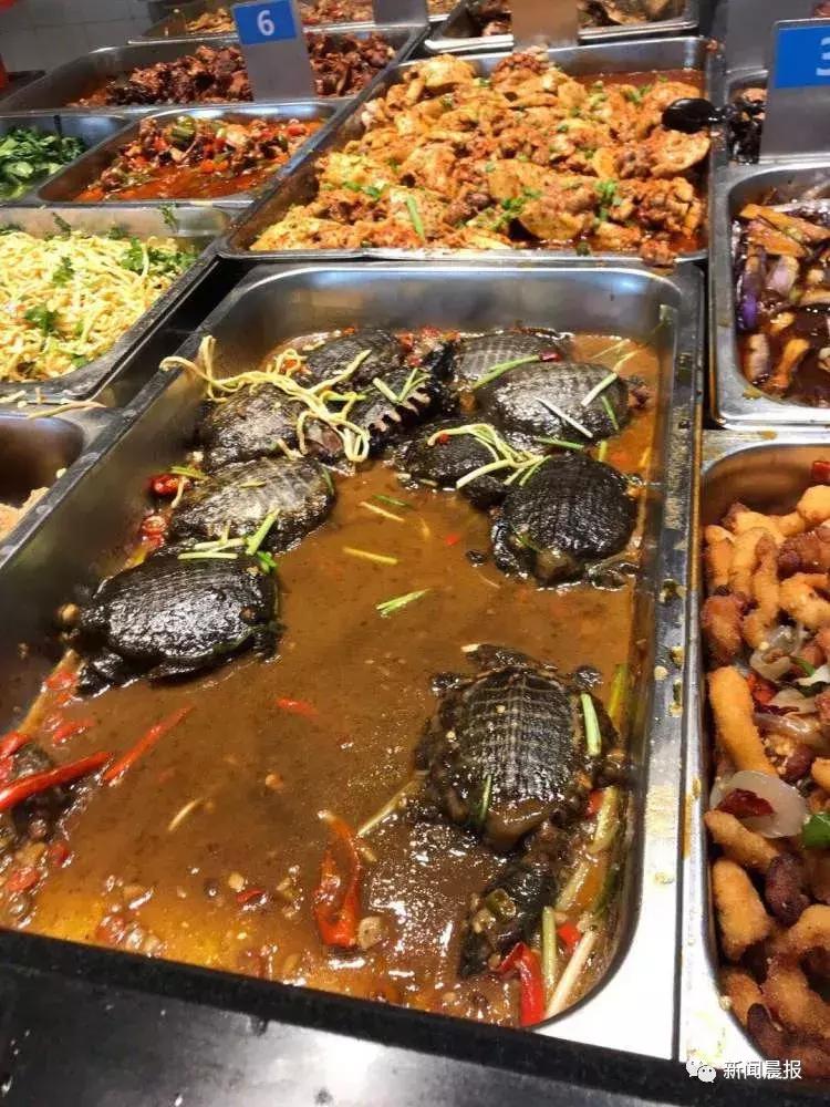 探索食堂美食新潮流，最新食堂菜一覽