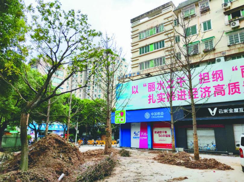 最新吊車網(wǎng)，自然美景之旅與內(nèi)心平靜的探尋