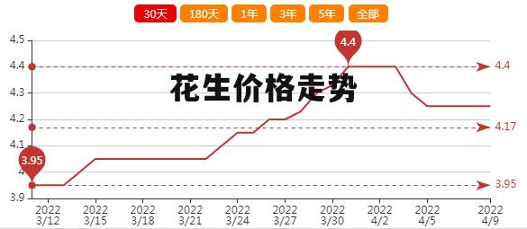 遼寧花生最新價(jià)格揭秘，一段溫馨的友情故事中的緣分相逢