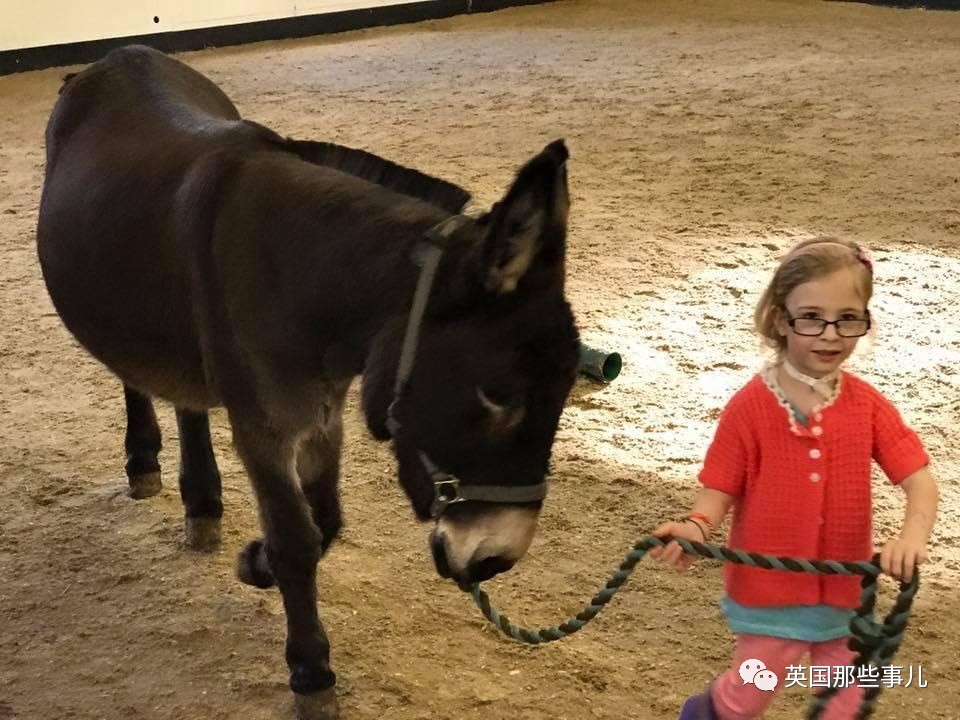 二驢子最新事件揭秘，事件全貌大揭秘！