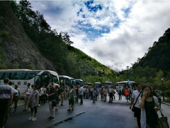 泰順高鐵最新動(dòng)態(tài)更新，最新消息一覽