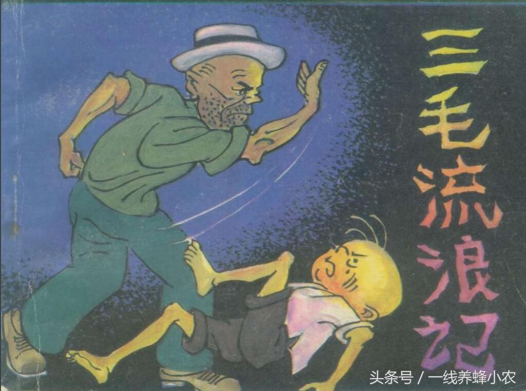上海三毛最新動(dòng)態(tài)，自然美景探索之旅啟幕