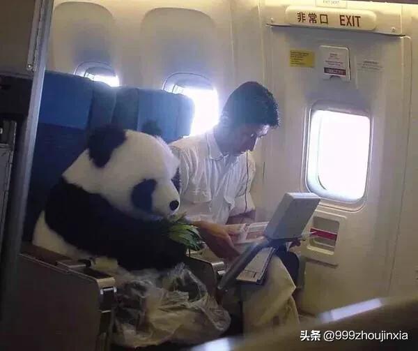 追逐變化之翼，學(xué)習(xí)鑄就自信與成就——虛幻最新探討
